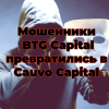 Мошенники из BTG Capital превратились в Cauvo Capital