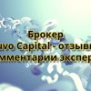 Брокер Cauvo Capital - отзывы и комментарии эксперта