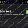 Возврат от мошенников Cauvo Capital - 304,3 EUR