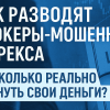 Мошенники под маской брокеров форекса: как теряют деньги казахстанцы и что делать, если вас обманули?