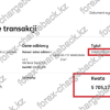 Чарджбек 5 705,17 PLN из Cauvo Capital